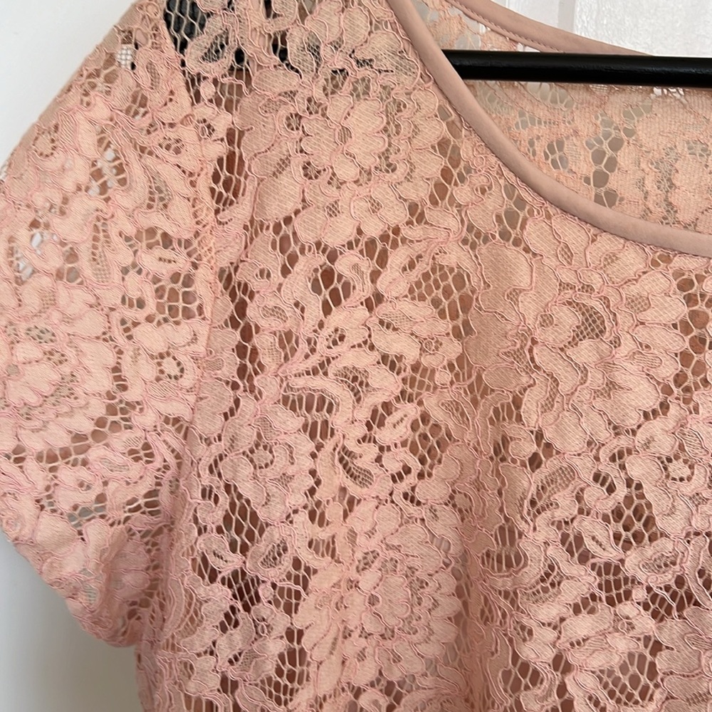 NWT Ann Taylor Loft Eyelash Lace Pink Sheath Dress Mini Above Knee - Picture 4 of 6